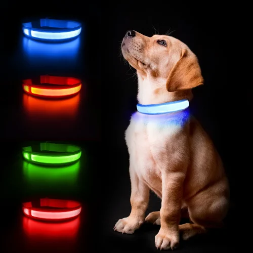 Luminous Dog Collar Waterpoof