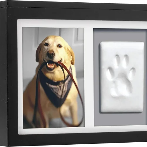 Pet Memorial Box & Paw Print Kit - Keepsake Urn for Pets