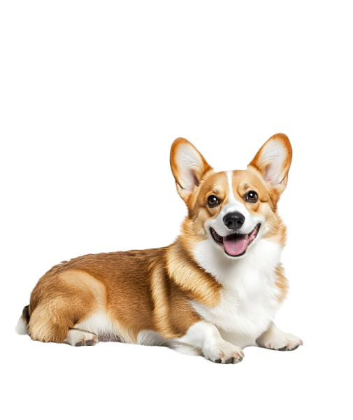 Home_Section8_Image1